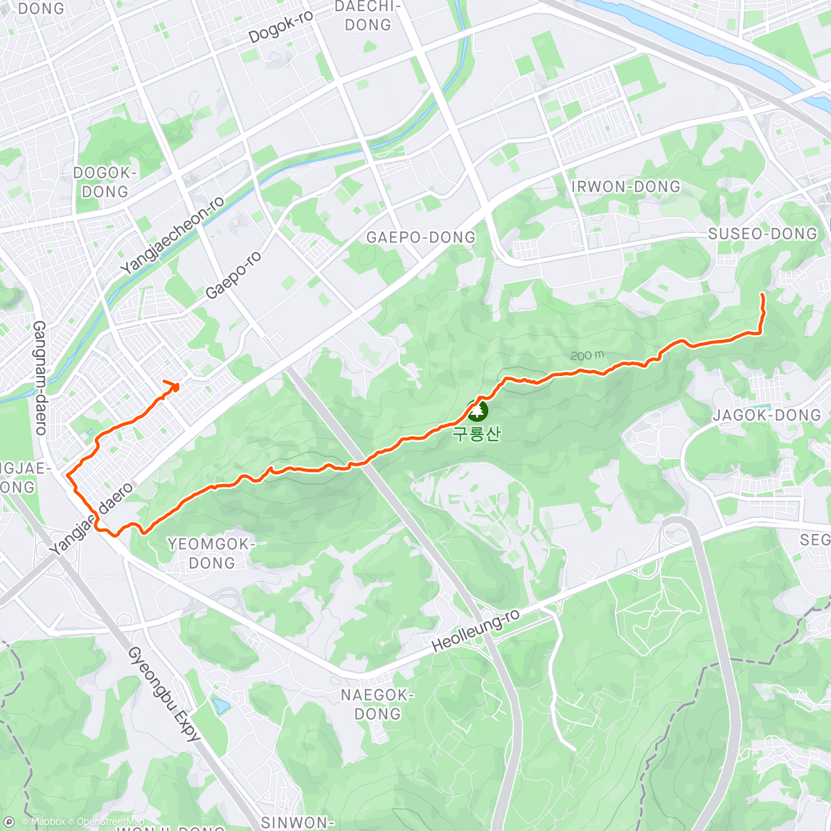 Map of the activity, Morning Hike 대모산,구룡산