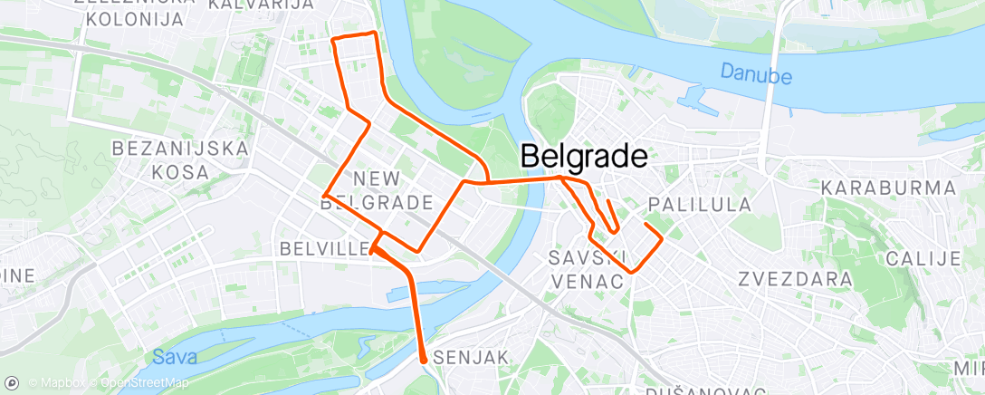 Mappa dell'attività 37. Belgrade marathon