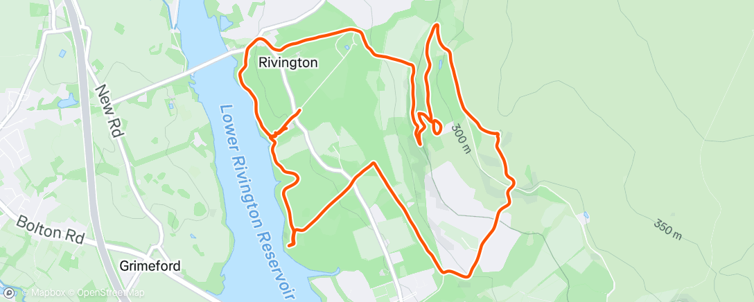 Map of the activity, Morning Walk