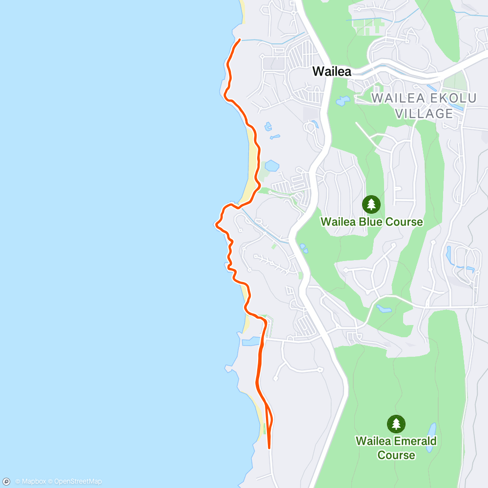 Map of the activity