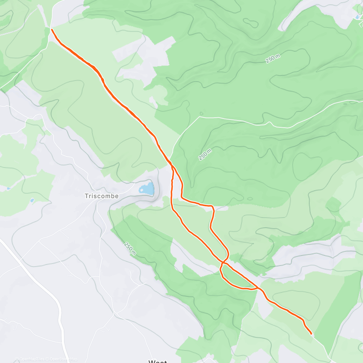Map of the activity, Morning Trail Run