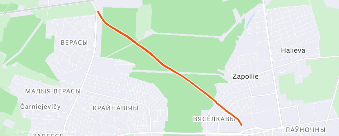 Map of the activity, Утренний забег