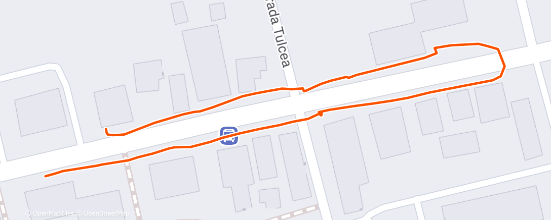 Map of the activity, Morning Walk