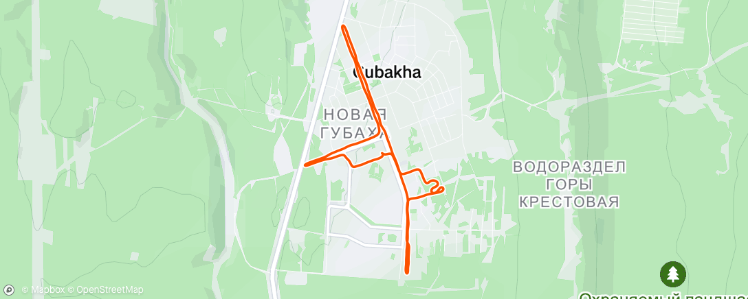 Map of the activity, Nike Run Club: среда - вечерняя пробежка