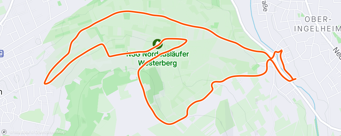 アクティビティ「Weinbergrunde 🐕‍🦺」の地図
