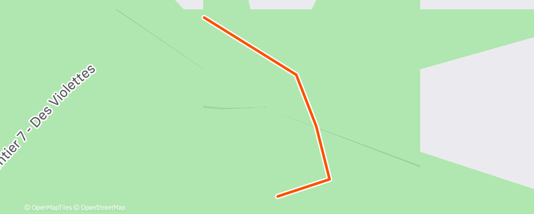 Map of the activity, Lunch Walk