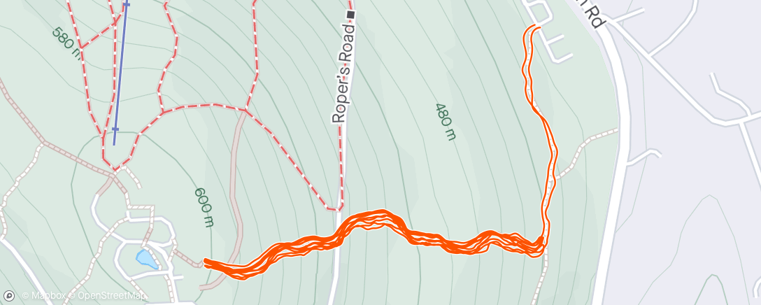 Map of the activity, Pine Hill(s)