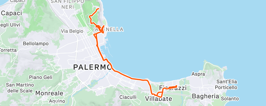 Map of the activity, 🐝💣😎 buon anno a tutti !!