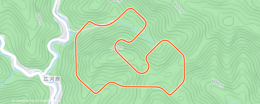Карта физической активности (MyWhoosh - Heian Samurai Circuit)