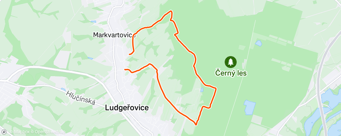 Map of the activity, Morning Trail Run