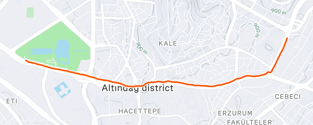 Карта физической активности (Lunch Run)