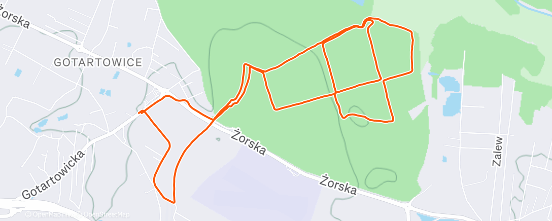 Карта физической активности (Morning Run)