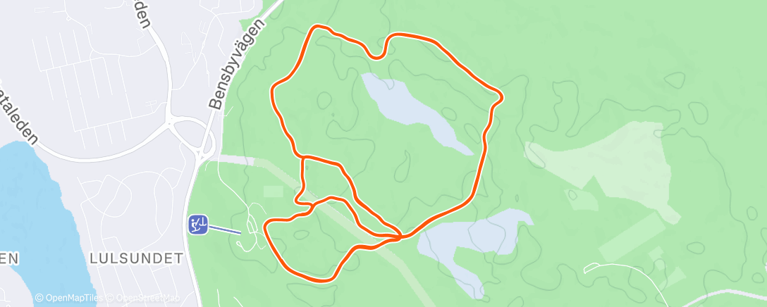 Карта физической активности (Evening Nordic Ski)