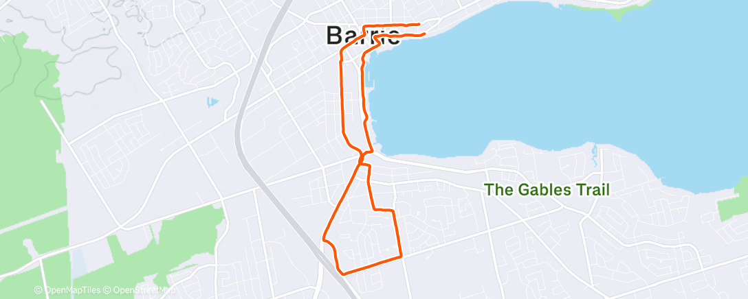 Карта физической активности (Morning Run)