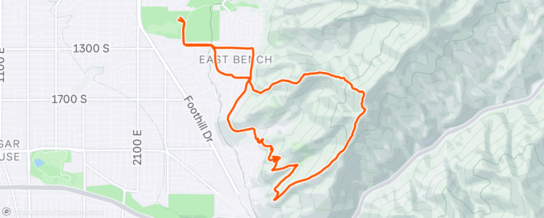 Карта физической активности (Afternoon Trail Run)