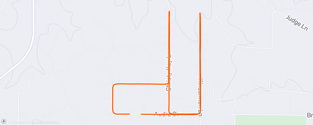 Map of the activity, Night Run