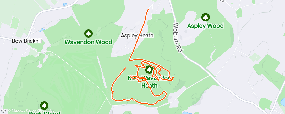 Map of the activity, Sid's first time at the woods
