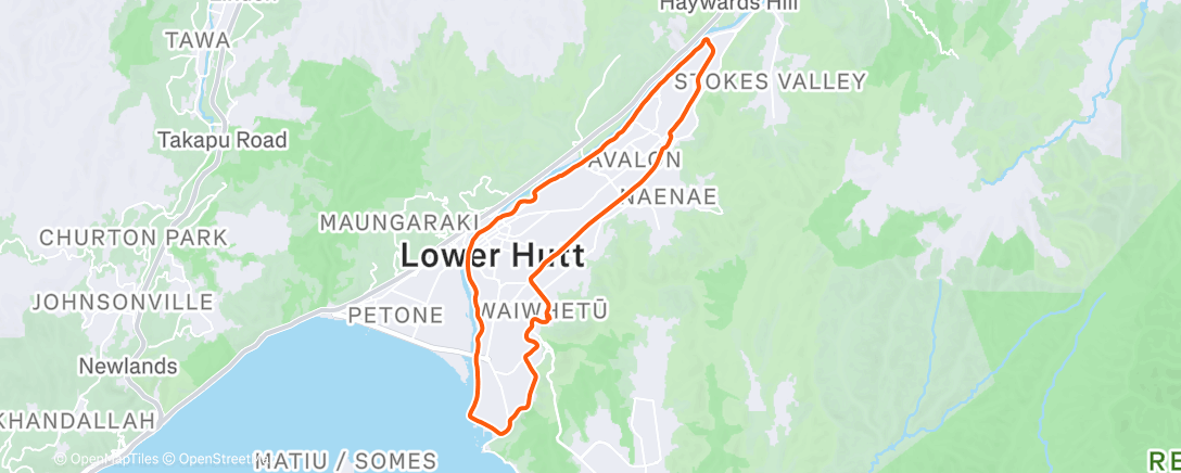 Map of the activity, Dog with a GoPro