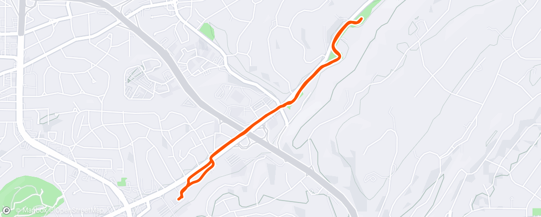 Map of the activity, 3 miles with 4 strides.