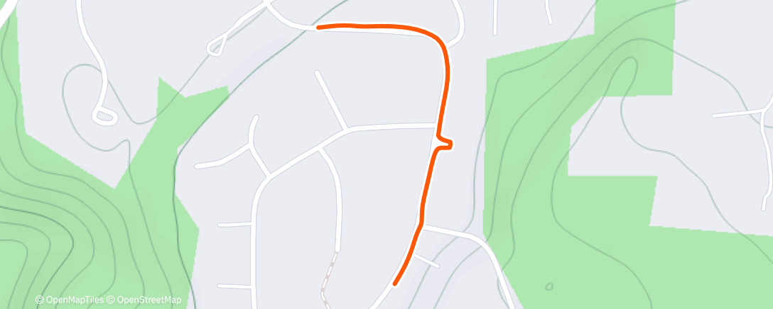 Карта физической активности (Afternoon Walk)