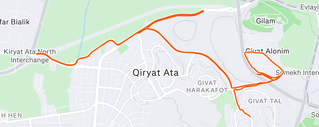 Карта физической активности (Lauf am Morgen)