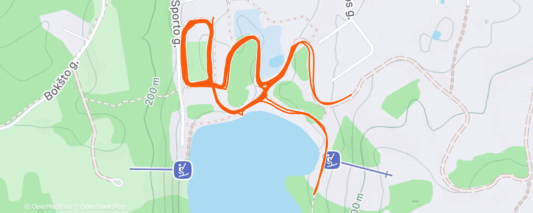 Карта физической активности (Ignalina Ski FT)