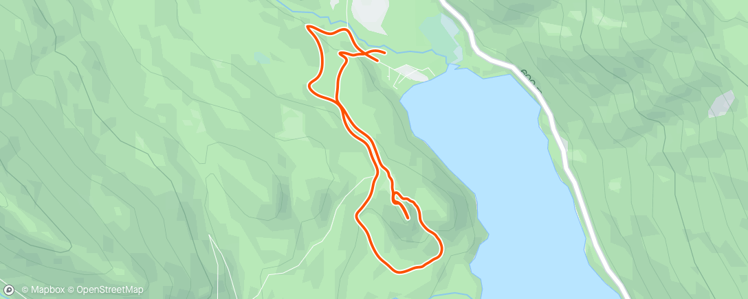 Map of the activity, Das loop