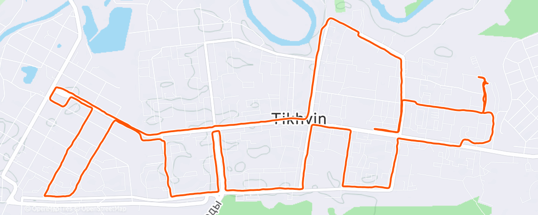 Карта физической активности (Дневной забег)