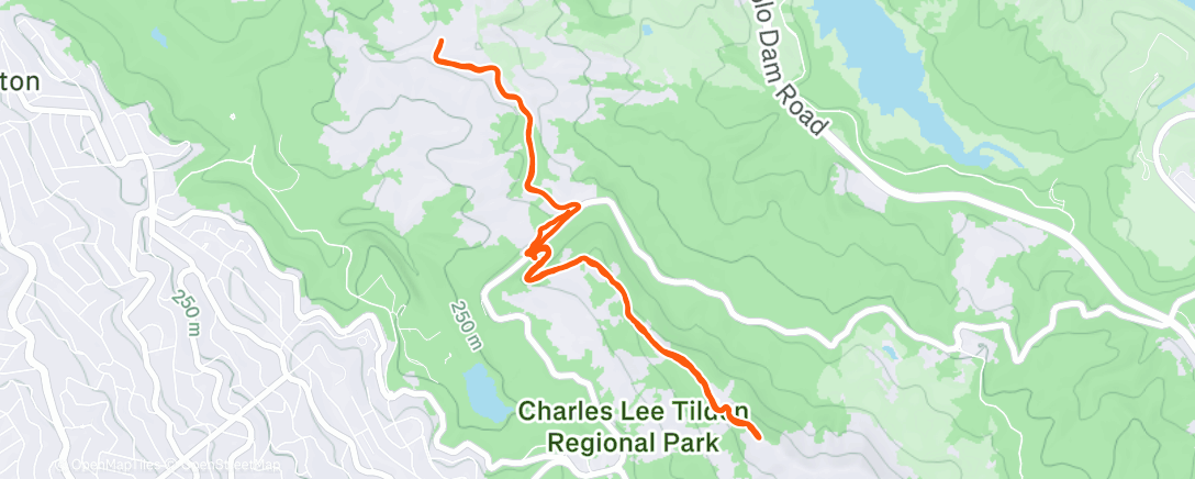 Map of the activity, Morning Trail Run