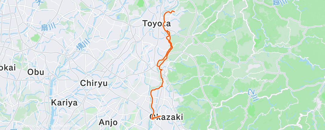 Карта физической активности (岡崎ライド)