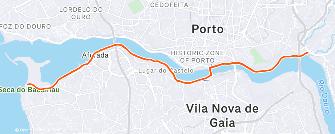 Карта физической активности (Morning Run)