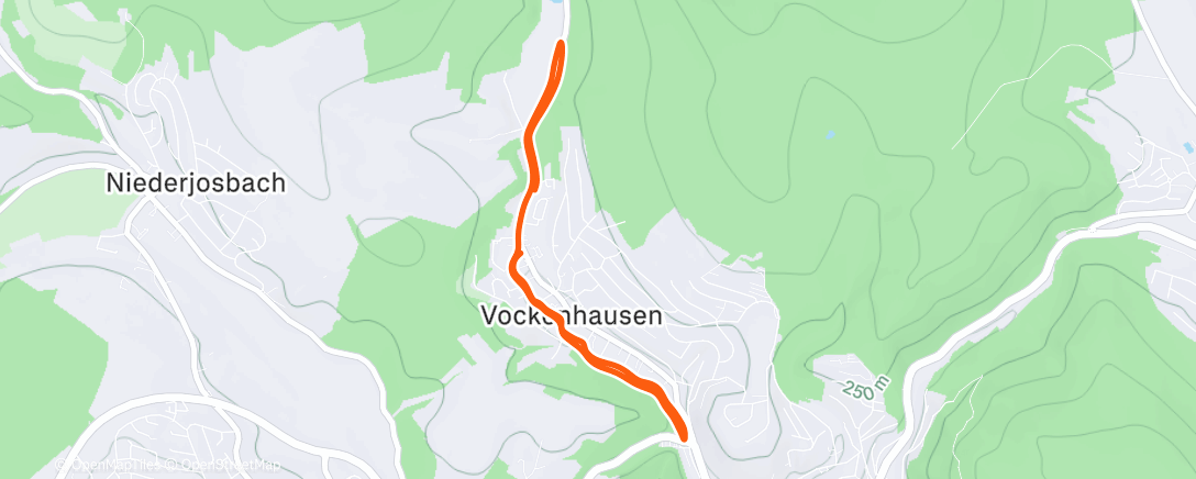 Map of the activity, Morning Run