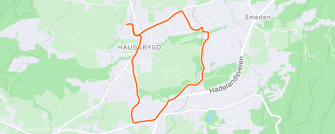 Map of the activity, Evening Run