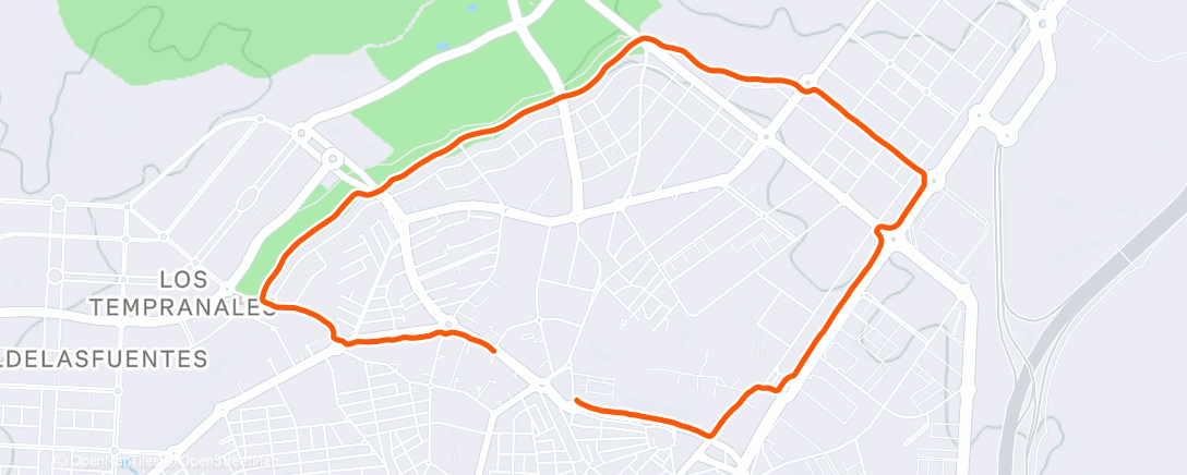 Карта физической активности (Activación típica de Vallecana)