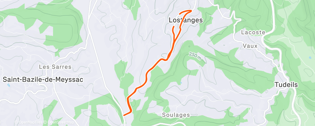 Map of the activity, Afternoon Run