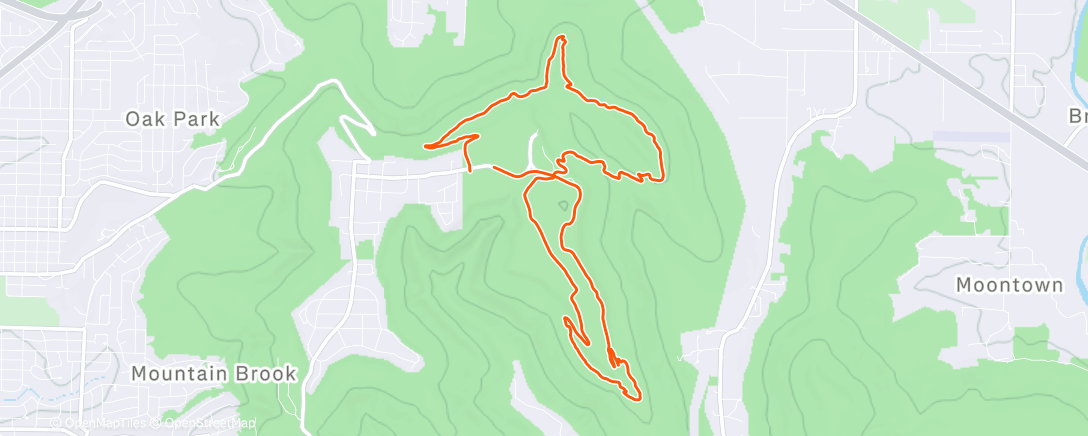 Map of the activity, Morning Trail Run