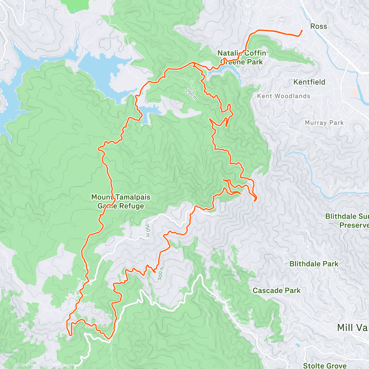 Map of the activity, More loopy Tam