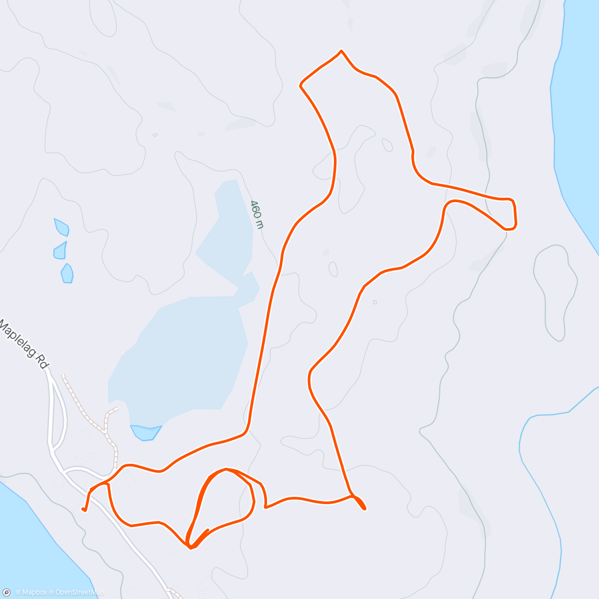Map of the activity, Morning Nordic Ski w Hans and Sus