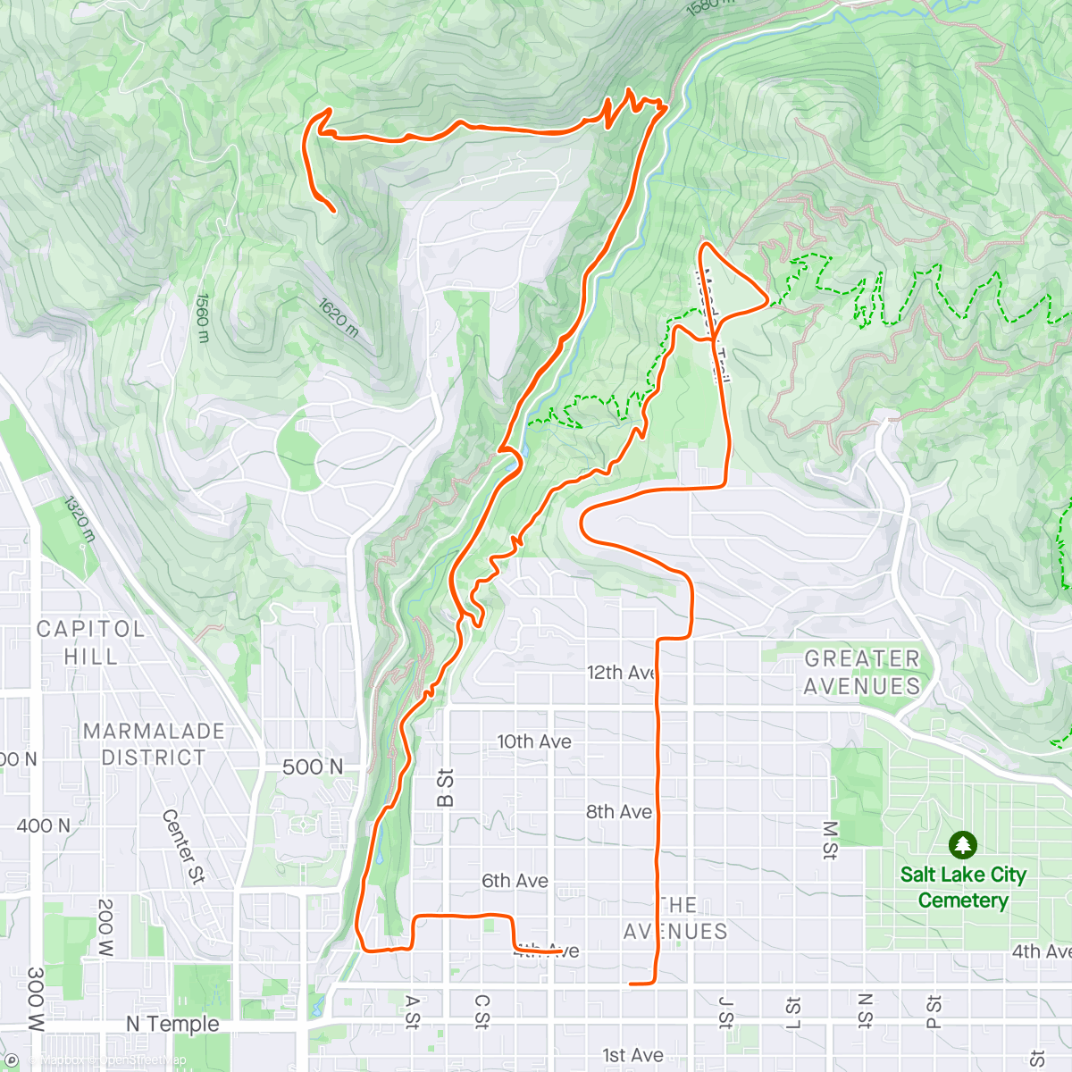 Map of the activity, Not feeling it today, but it was a beautiful morning to be out. 💐