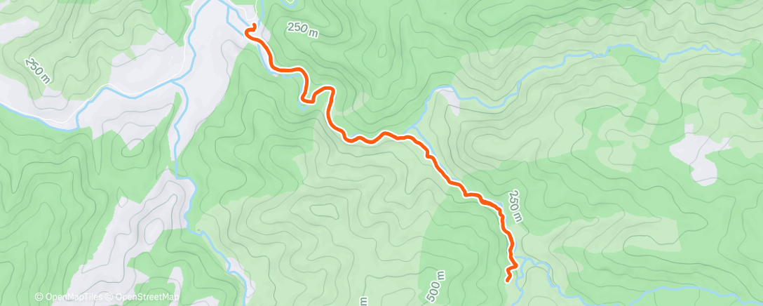 Mapa de la actividad (Morning Run)