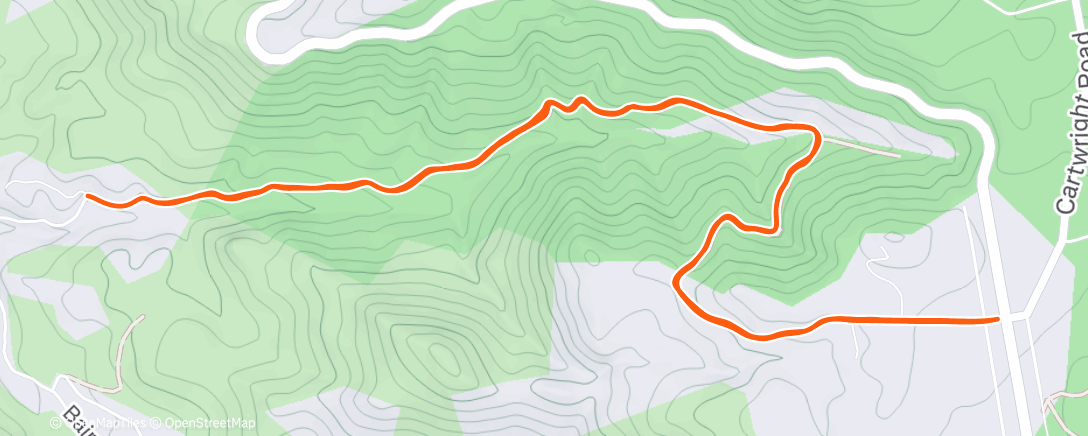 Карта физической активности (Morning Walk)