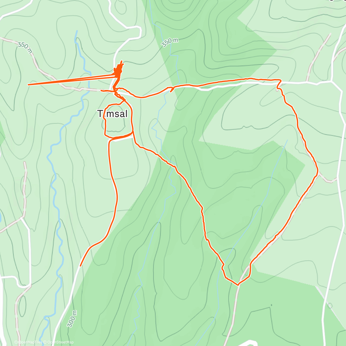 Карта физической активности (Timsal Tracks)