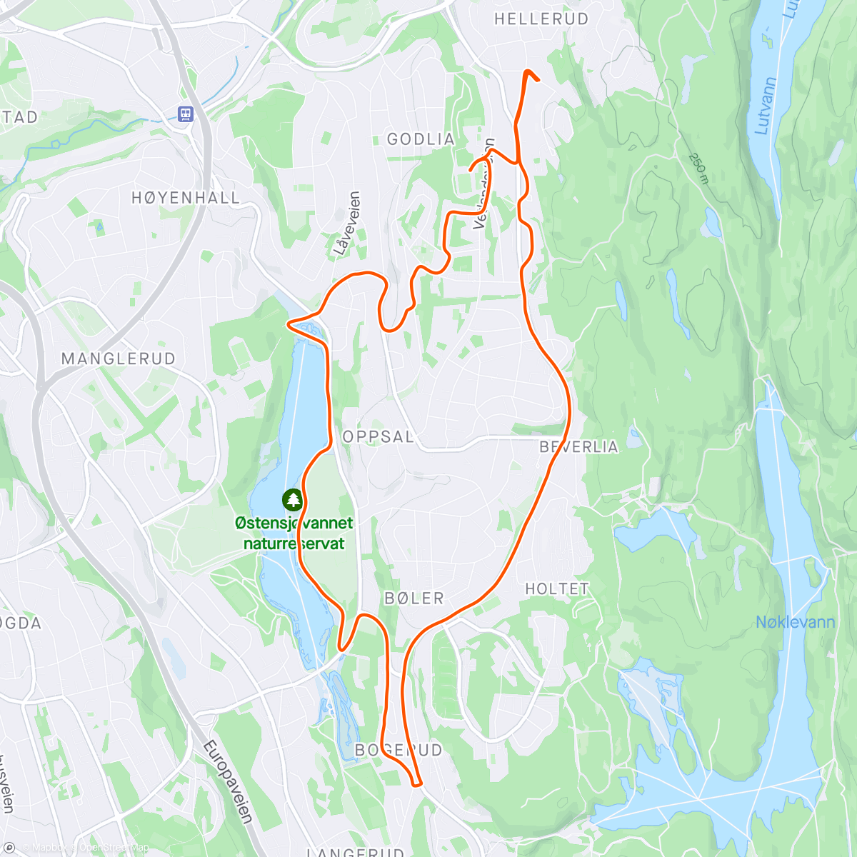 Map of the activity, Østensjø. 2x2k