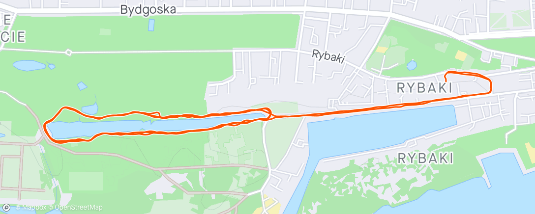 Mapa de la actividad (Night Run)