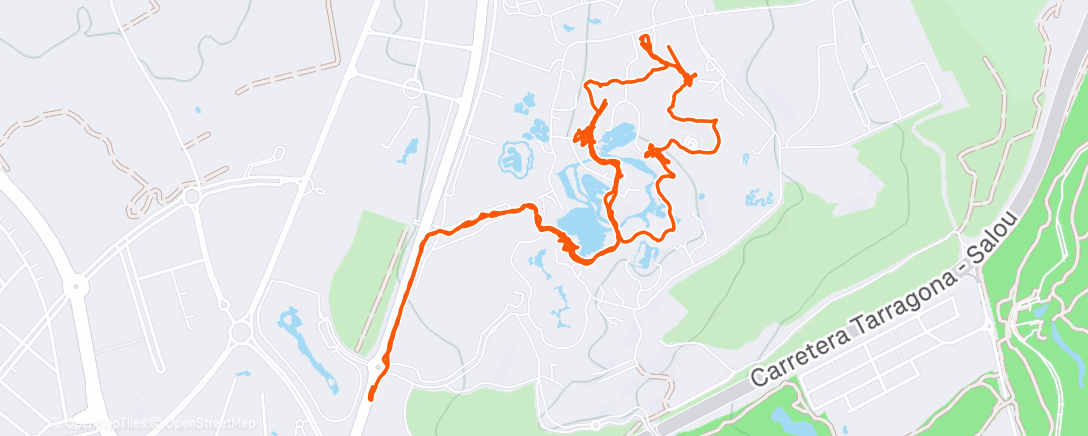 Map of the activity, Caminata a la hora del almuerzo