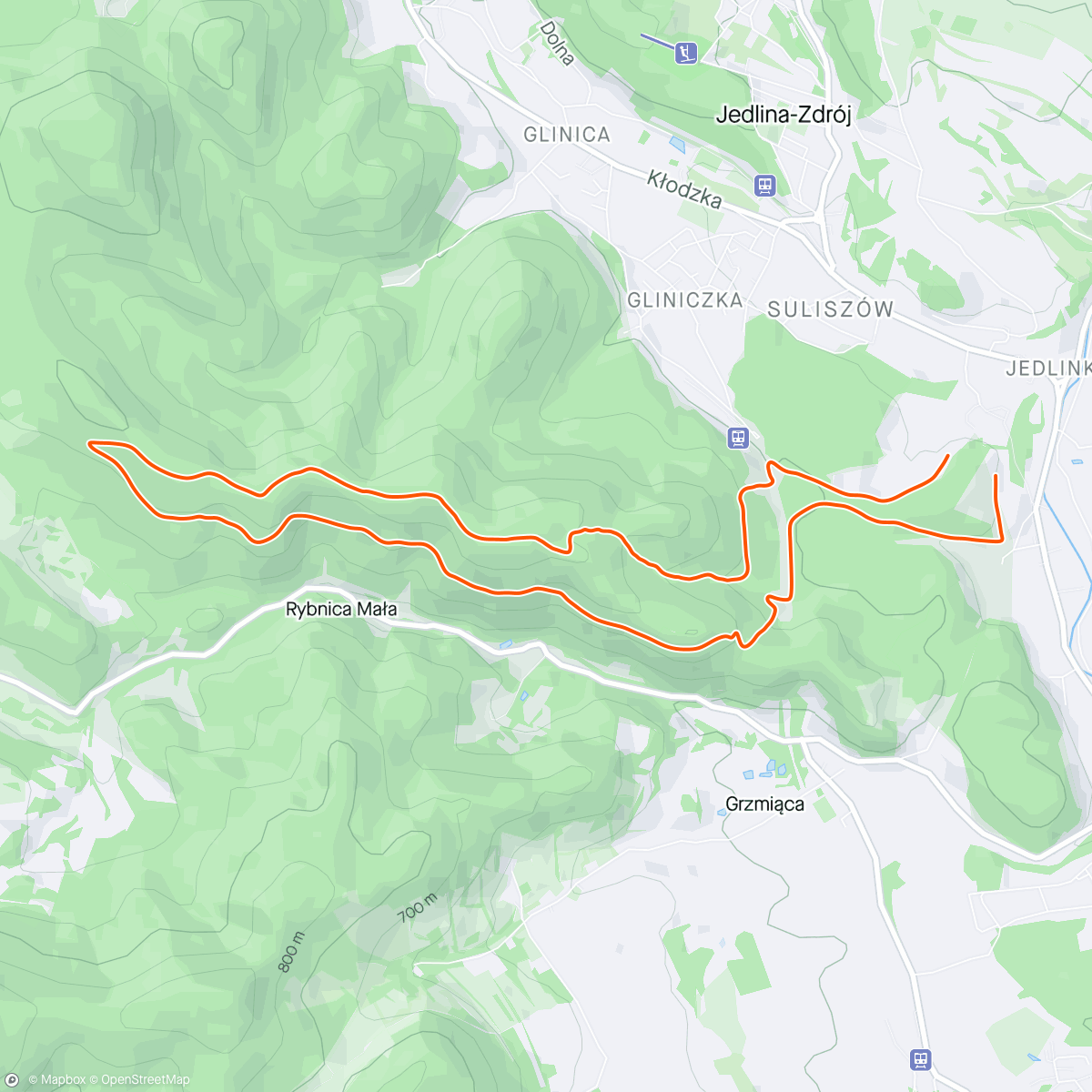 Mappa dell'attività Jedlina Zdrój 10 km