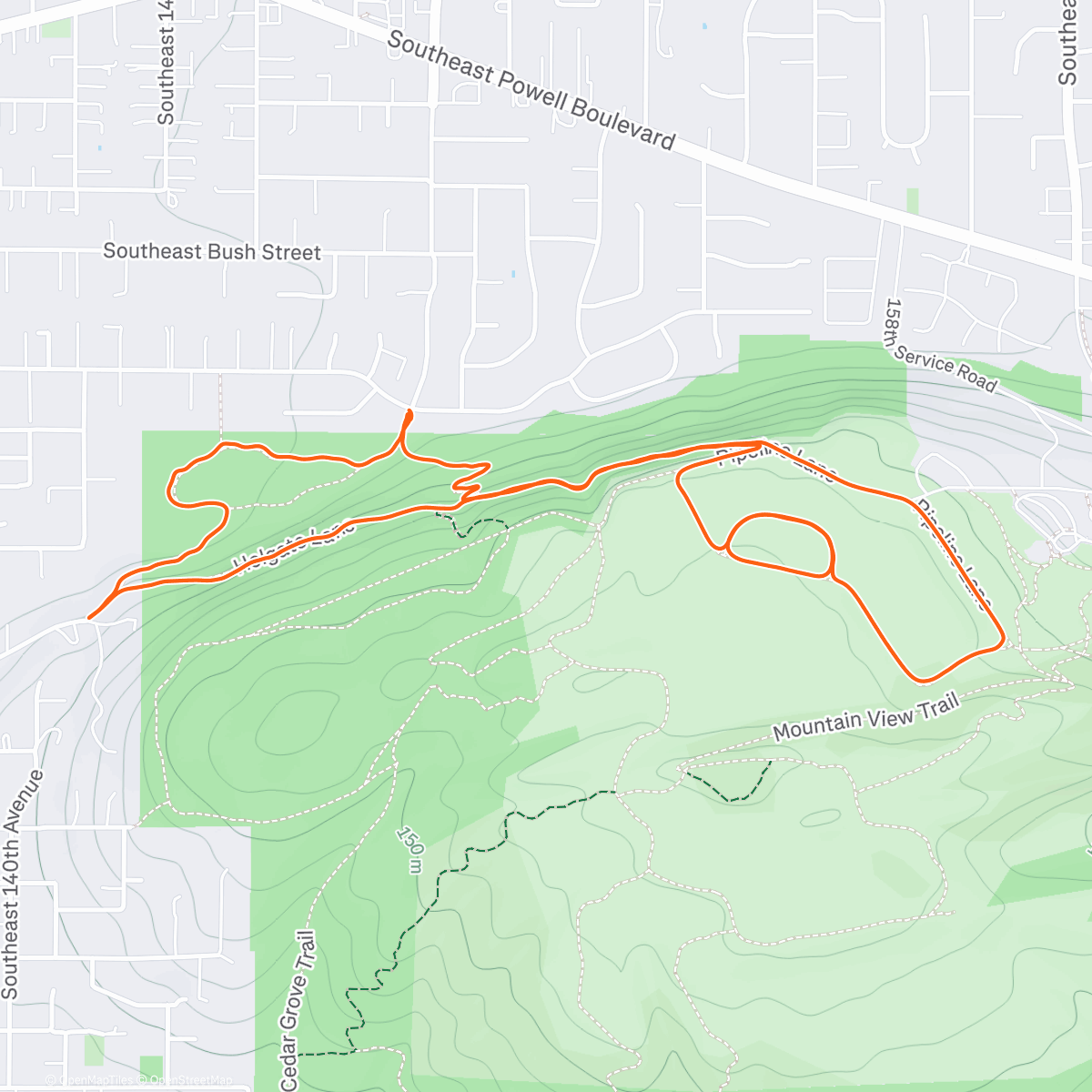 Map of the activity, 🥩