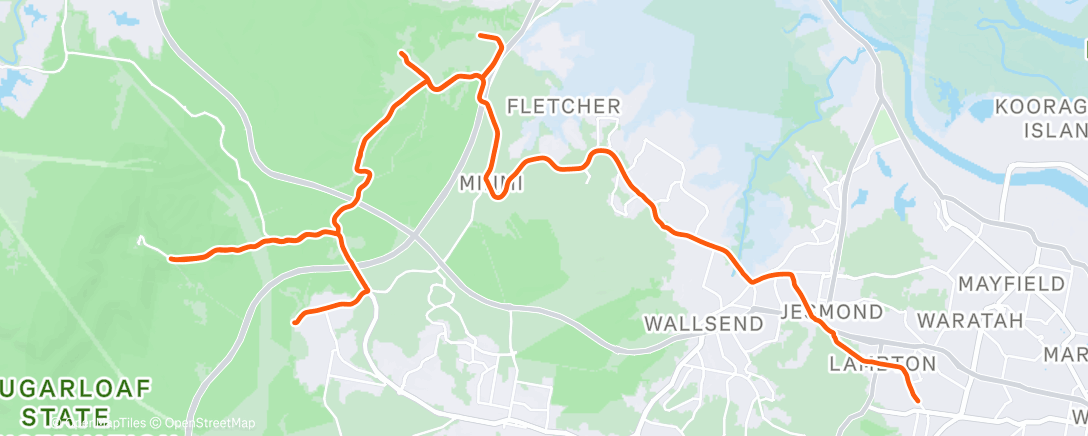 Карта физической активности (Morning Ride)