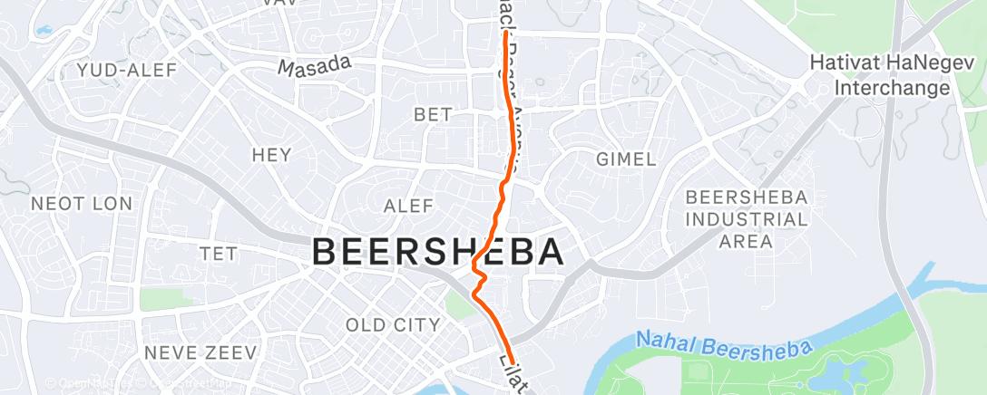 Map of the activity, Afternoon Run