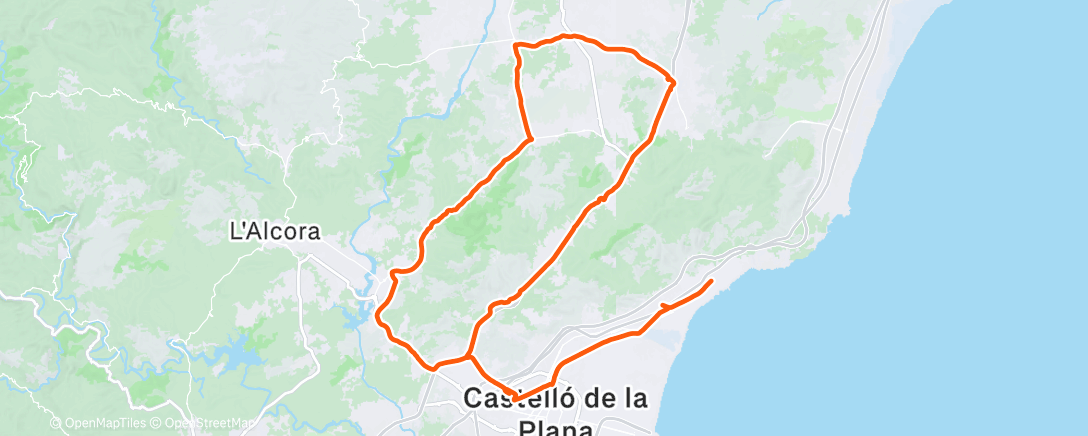 Карта физической активности (One hot minute)